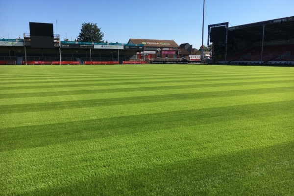 HERO Hybrid Grass at Kingsholm Stadium