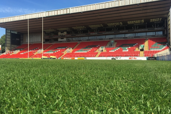 Leicester Tigers stay loyal to a natural pitch image 1