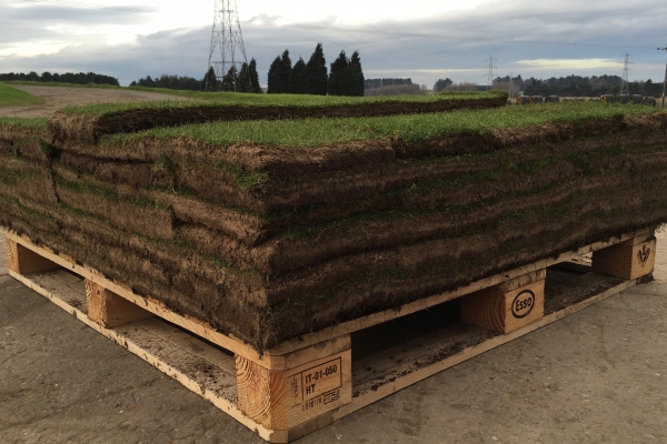Revetting Turf 35mm thick
