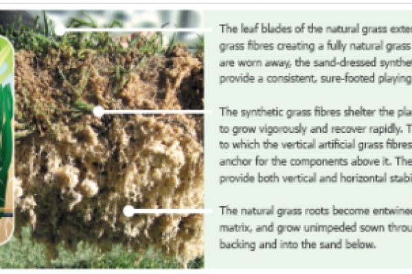 ECLIPSE Stabilised Turf